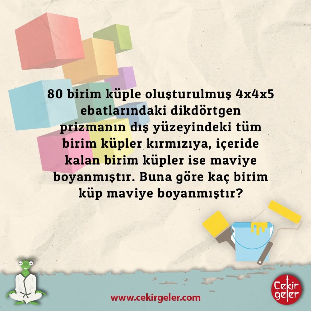 80 Küp Sorusu (Çekirgeler)