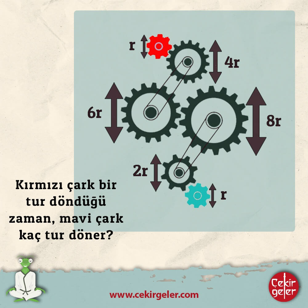 Çark Sorusu 2 (Çekirgeler)