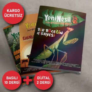 Yeni Nesil Dergi Basılı 10 ve Dijital 2 Sayı